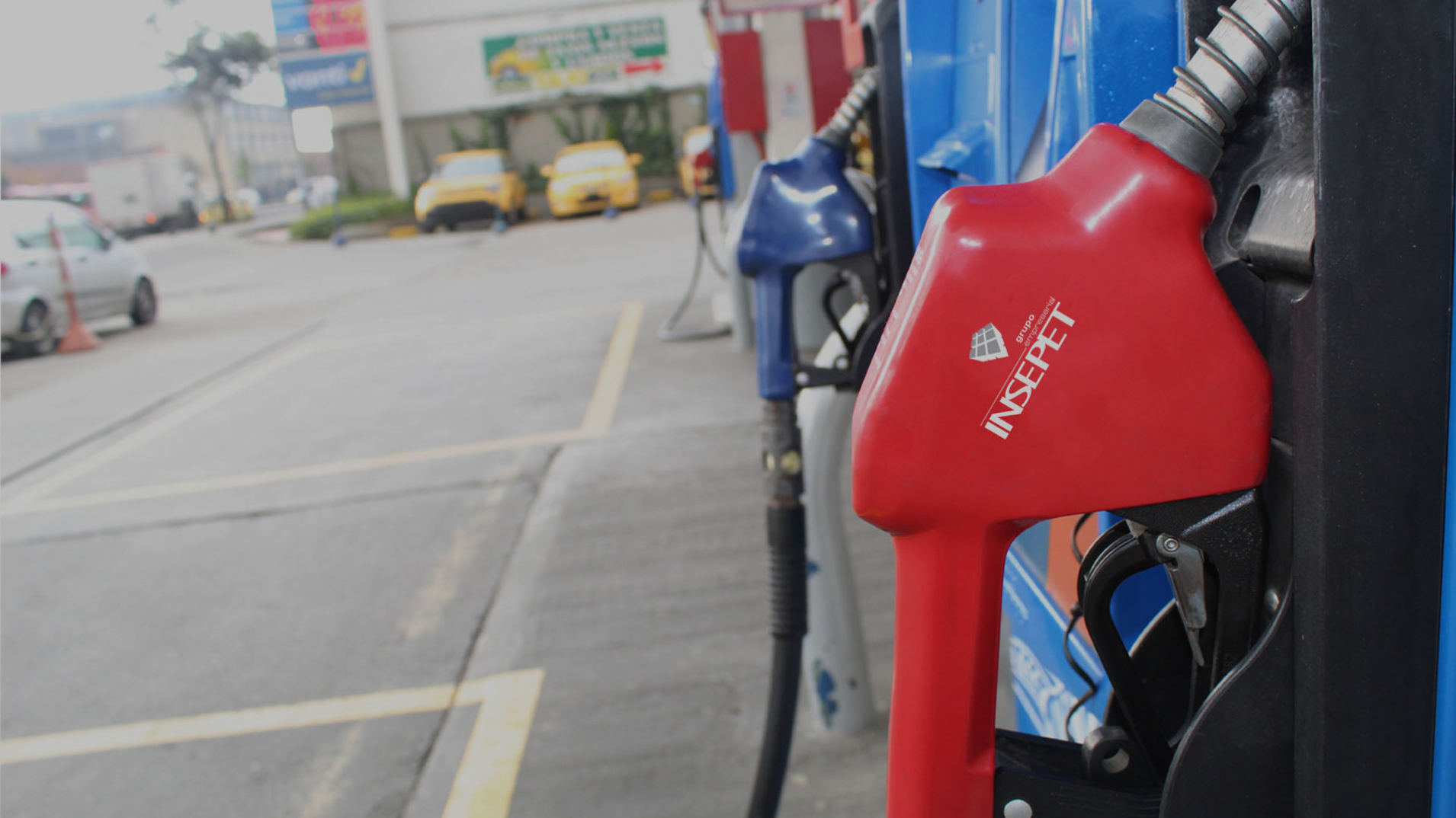 ¡Y no son papas! – Grupo Empresarial Insepet