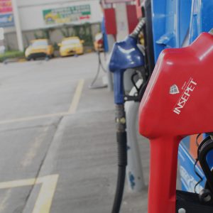 Grupo Empresarial Insepet